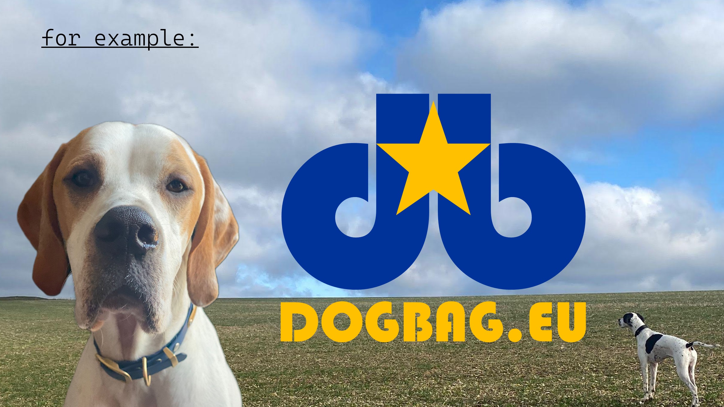 DOGBAG.EU